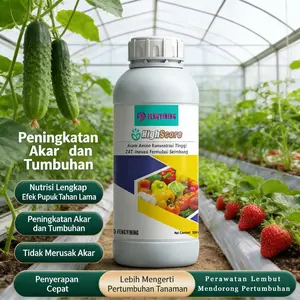Fengyining Pupuk Larut Air Unsur Makro Tipe Seimbang Tinggi Kalium Fosfor Nitrogen Cocok untuk Sayuran Bunga Pohon Buah Aplikasi Curah Semprot Produk Resmi Pabrik