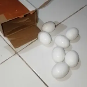 Telor Palsu telur 12 butir Mainan Burung Merpati/Ayam Kate (Mencegah Merpati Stresss)