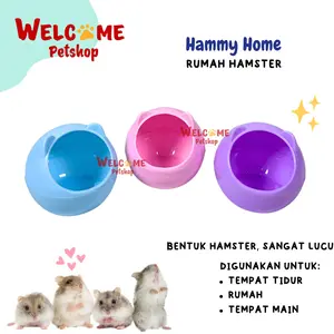 Hammy Home Rumah Hamster Sugar Glider Kecil Lucu Tempat Tidur Main