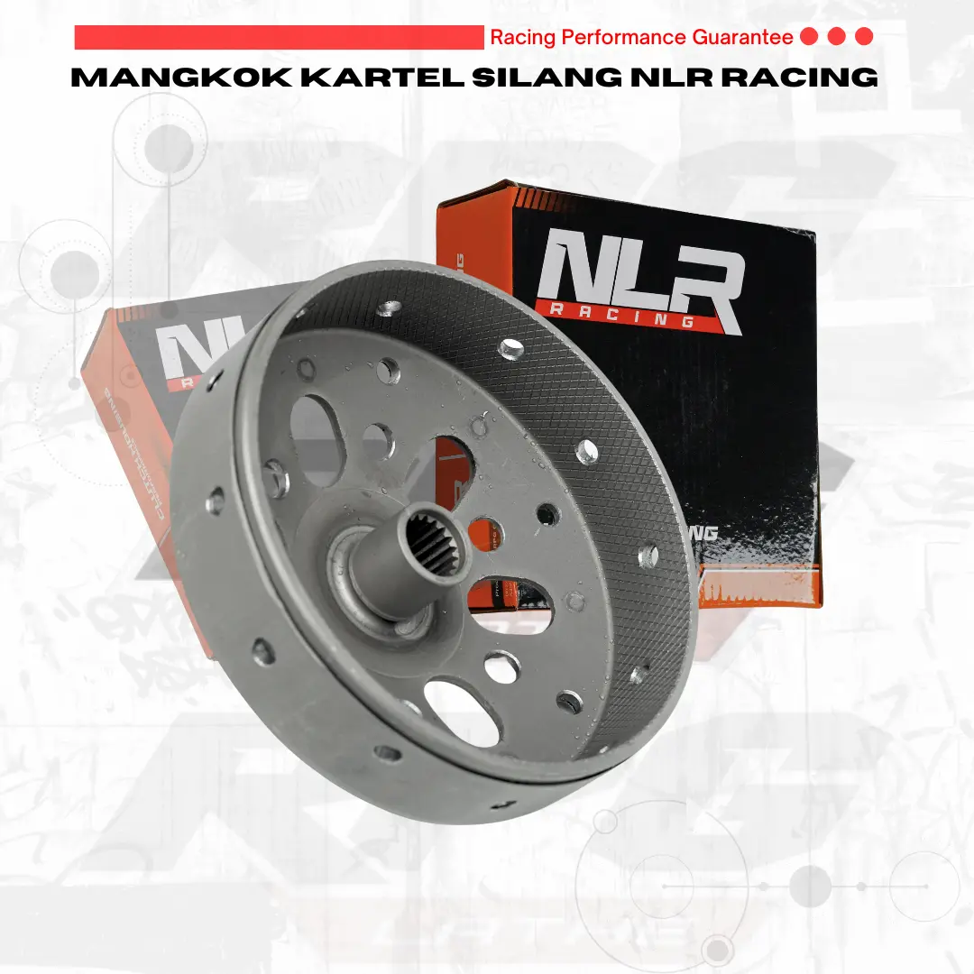 MANGKOK GANDA CUSTOM KARTEL STANDAR QUALITY Anti gredeg Kartel Beat FI Scoopy genio Motorcycle