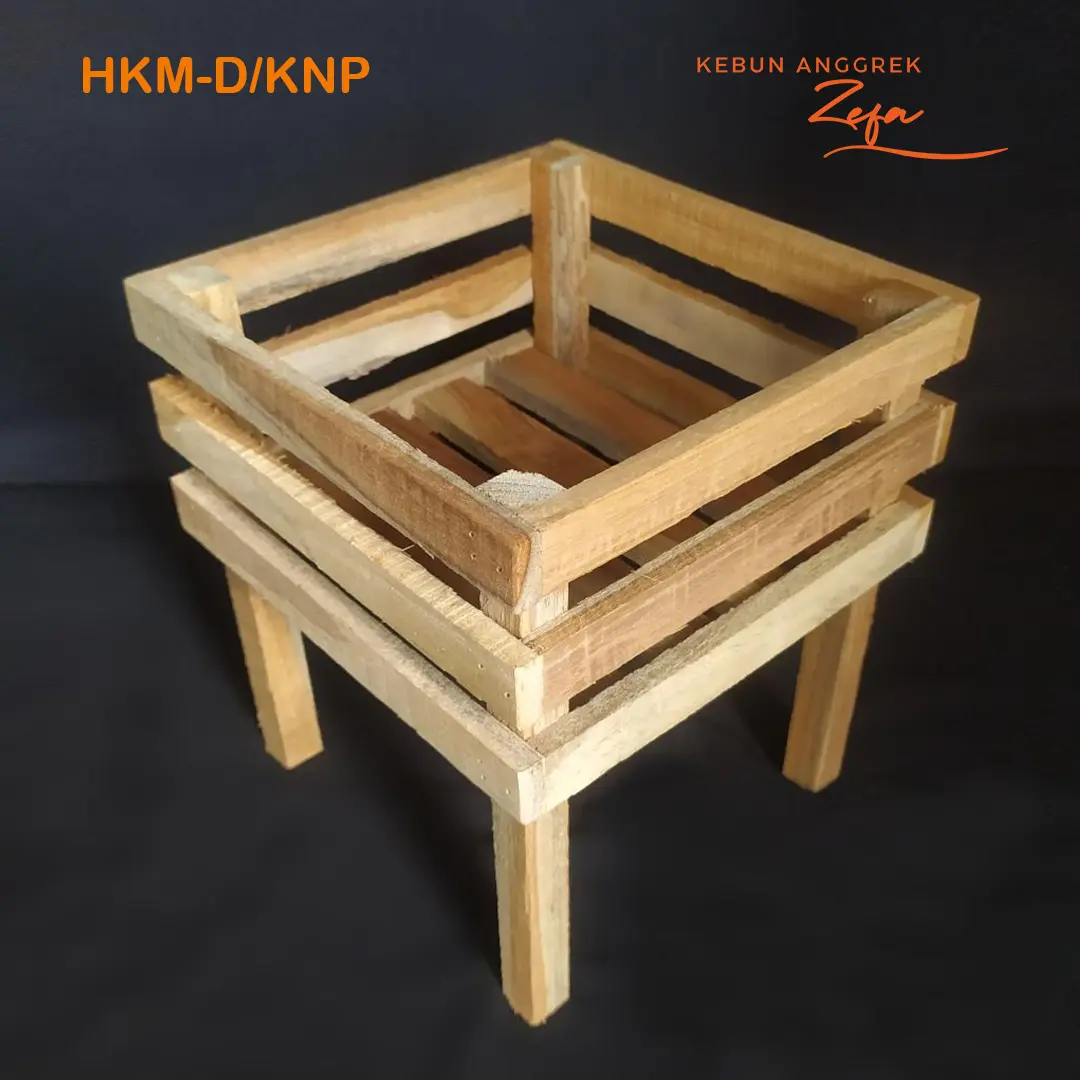 pot gantung DENDROBIUM BULAT KNOP MEKAR BEDA ID (HKM-D/KNP)