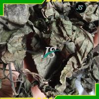 Gambar Daun Keji Beling Kering 500grm Pecah Beling dari Jayashoope09 Kab. Bandung Barat 4 Tokopedia