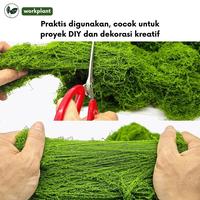 Gambar Workplant - Moss Artificial Lumut Imitasi Dried Moss untuk Paludarium Aquascape DIY Dekorasi - Hijau Tua dari workplant official Kota Surabaya 5 Tokopedia