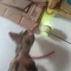 Mainan Anjing Kucing Bola Listrik Bergulir Cerdas LED Laser Bola mainan pintar hewan peliharaan Pet toy