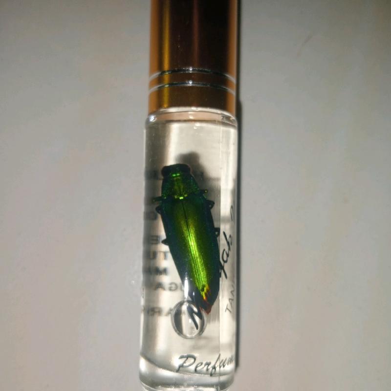 minyak samberlilin raja ratu wangi asli harum 2