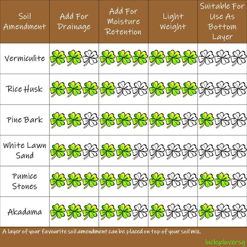[2L, 4L] Vermiculite For Planting / Gardening / Mixing Into Soil 5
