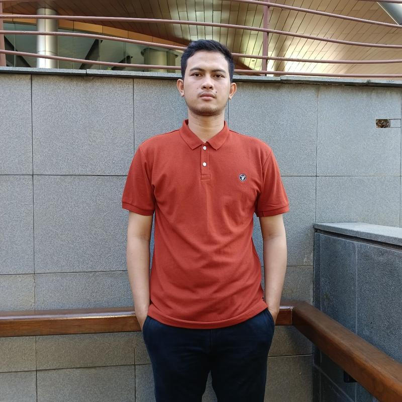 Product Introduction of Julio Plano Kaos Polo Shirt Pria Premium Kerah Warna Teracota Basic 3