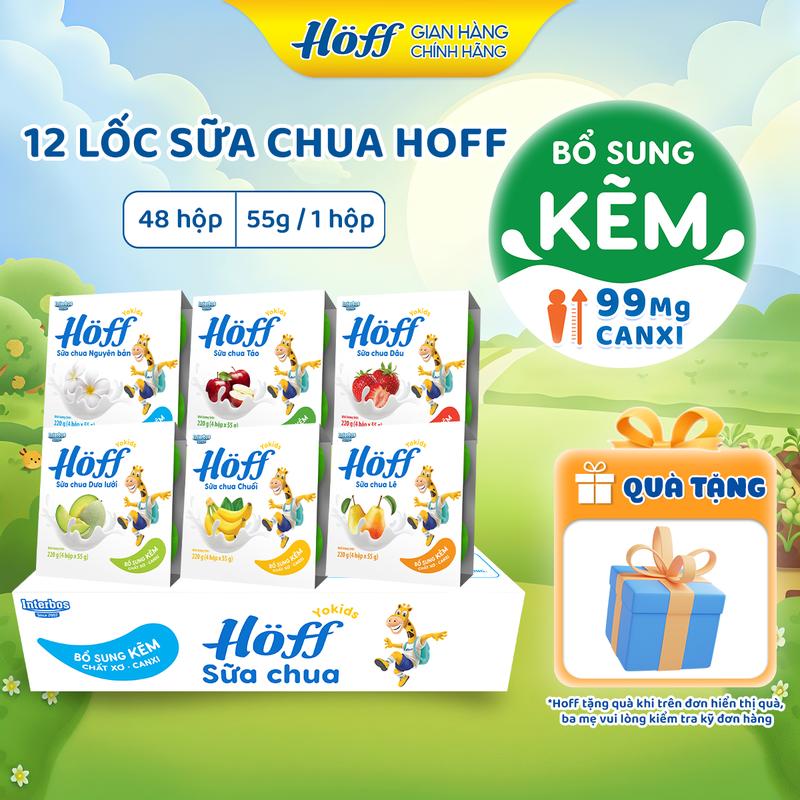  Thùng sữa chua cho bé ăn dặm mix 6 vị Hoff bổ sung dinh dưỡng canxi kẽm vitamin B1 B2 B3 B6 chất xơ Men vi sinh hỗ trợ hệ tiêu hóa thùng 12 lốc  48 hộp x 55g  - Xmas chính hãng 