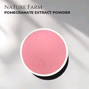 Nature Farm Premium Bubuk Ekstrak Buah Delima - Pomegranate Extract Powder 50gr 100gr FOOD GRADE  Fruit Powder