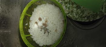 Product Review of Lizard Repellent Ubat Cicak from S**5 0