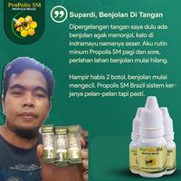 Gambar ProPolis SM Obat Kista Ganglion Benjolan Di Tangan dari Diherbalin Shop Kota Administrasi Jakarta Barat 2 Tokopedia