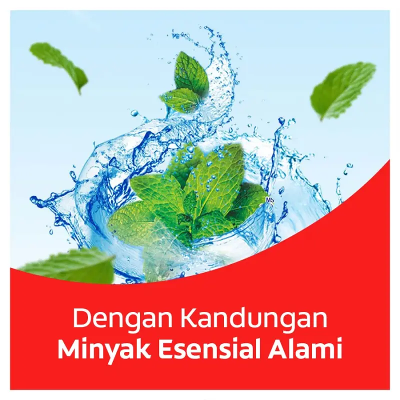 Colgate Obat Kumur Plax Peppermint 750ml + 250 ml 3