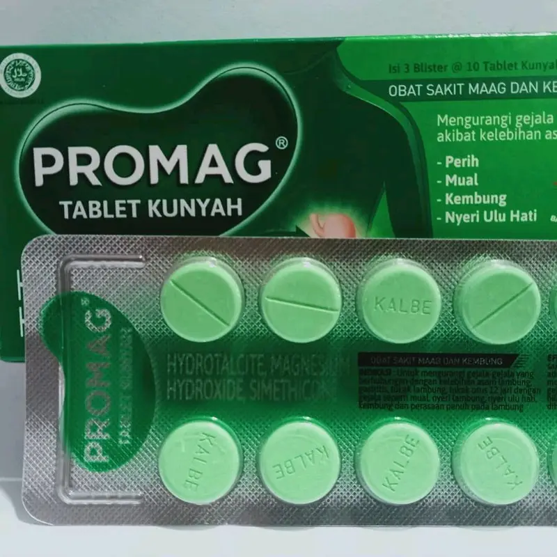 PROMAG TABLET KUNYAH mengatasi sakit maag 1 box Obat - Shop | Tokopedia