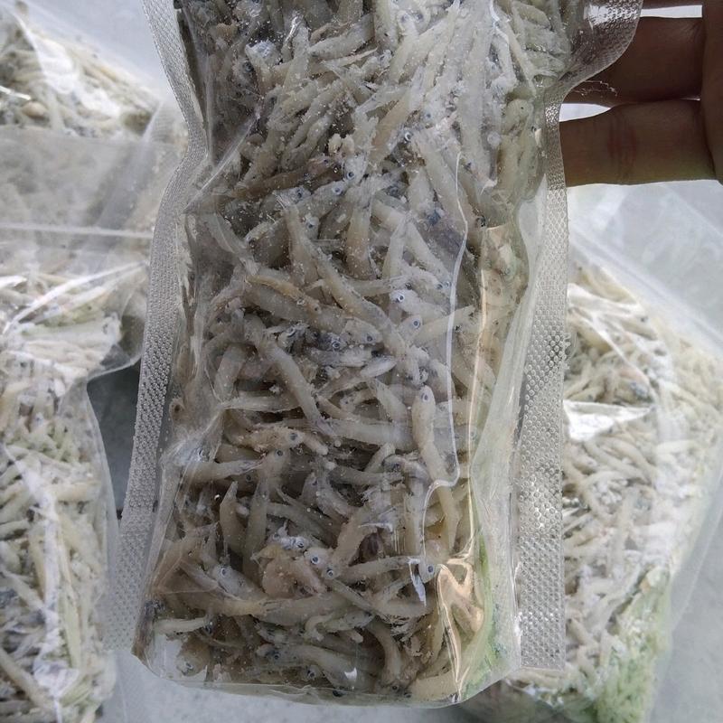 Grosir teri nasi asin / Teri Medan kering / Teri putih Best Seller 4
