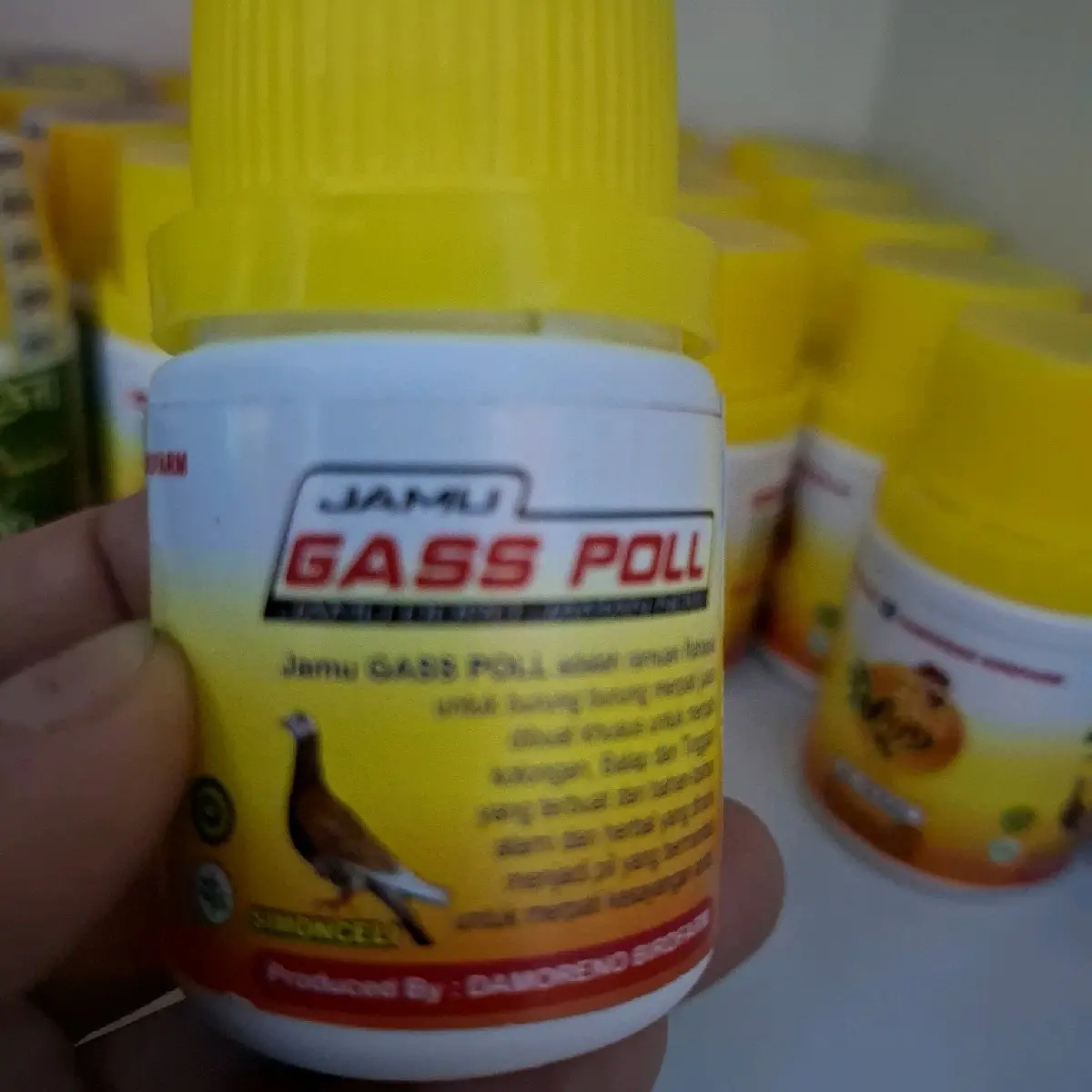 JAMU GASS POLL MERPATI HERBAL