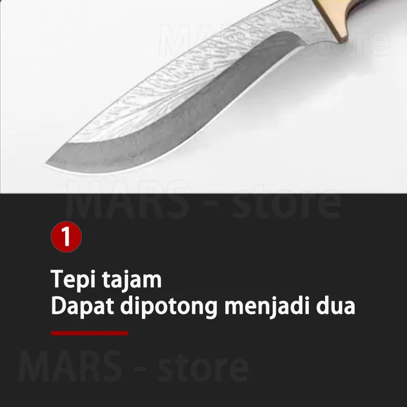 Pisau buah Pisau dapur dengan  sarungnya 6