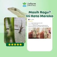 Gambar INFARM - Repellent Anti Cicak 100ml Organik Aman untuk Rumah & Dapur dari Infarm Kota Surabaya 5 Tokopedia