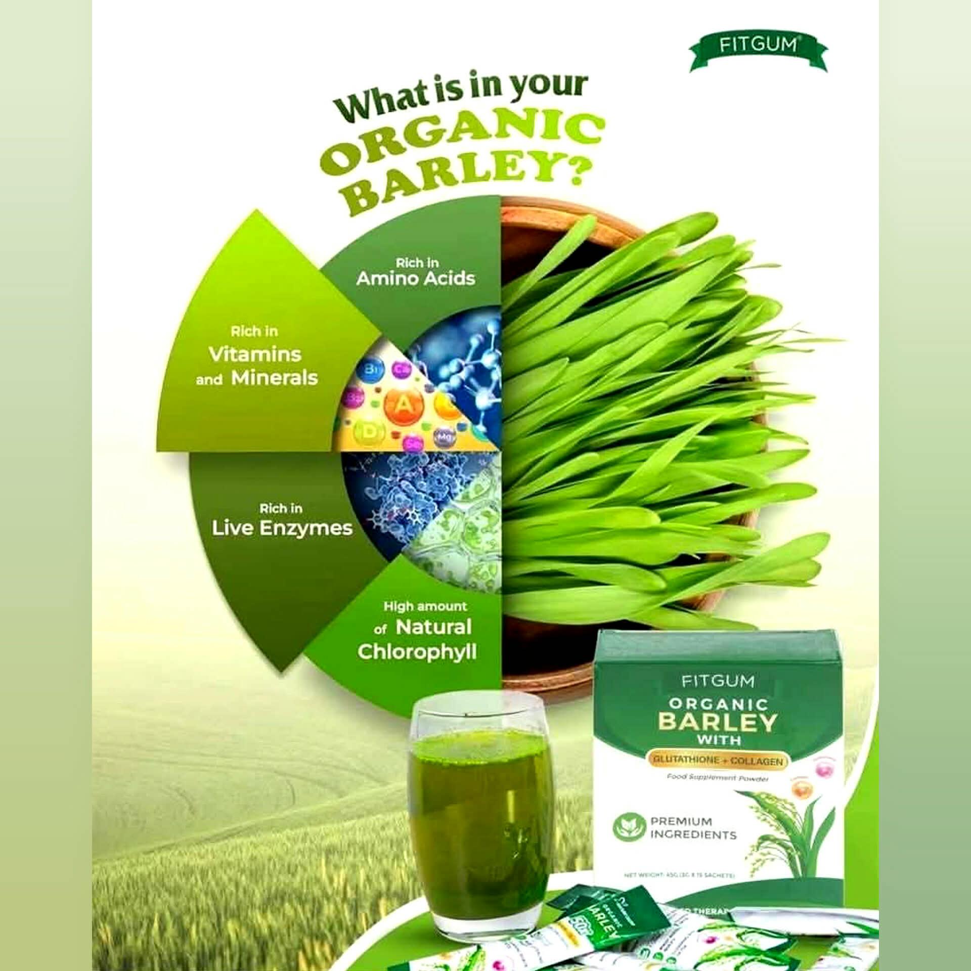 fitgum organic barley 50x glutathione Online Pharmacy India main image 0