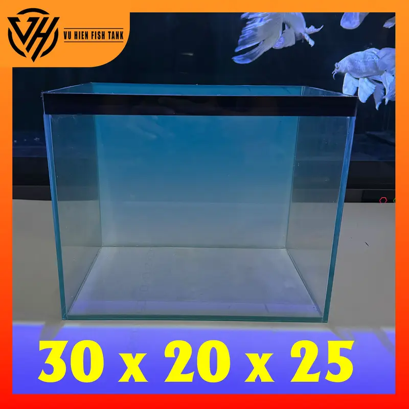 Hồ 30x20x25 bả keo đen tặng tranh BlueSky 2