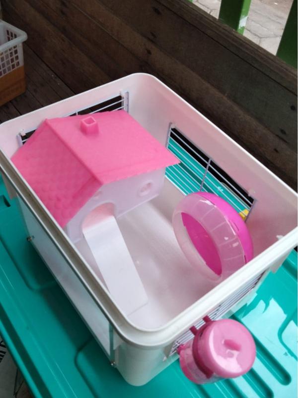 Kandang Hamster box lengkap fullset rumah hamster - Shop | Tokopedia