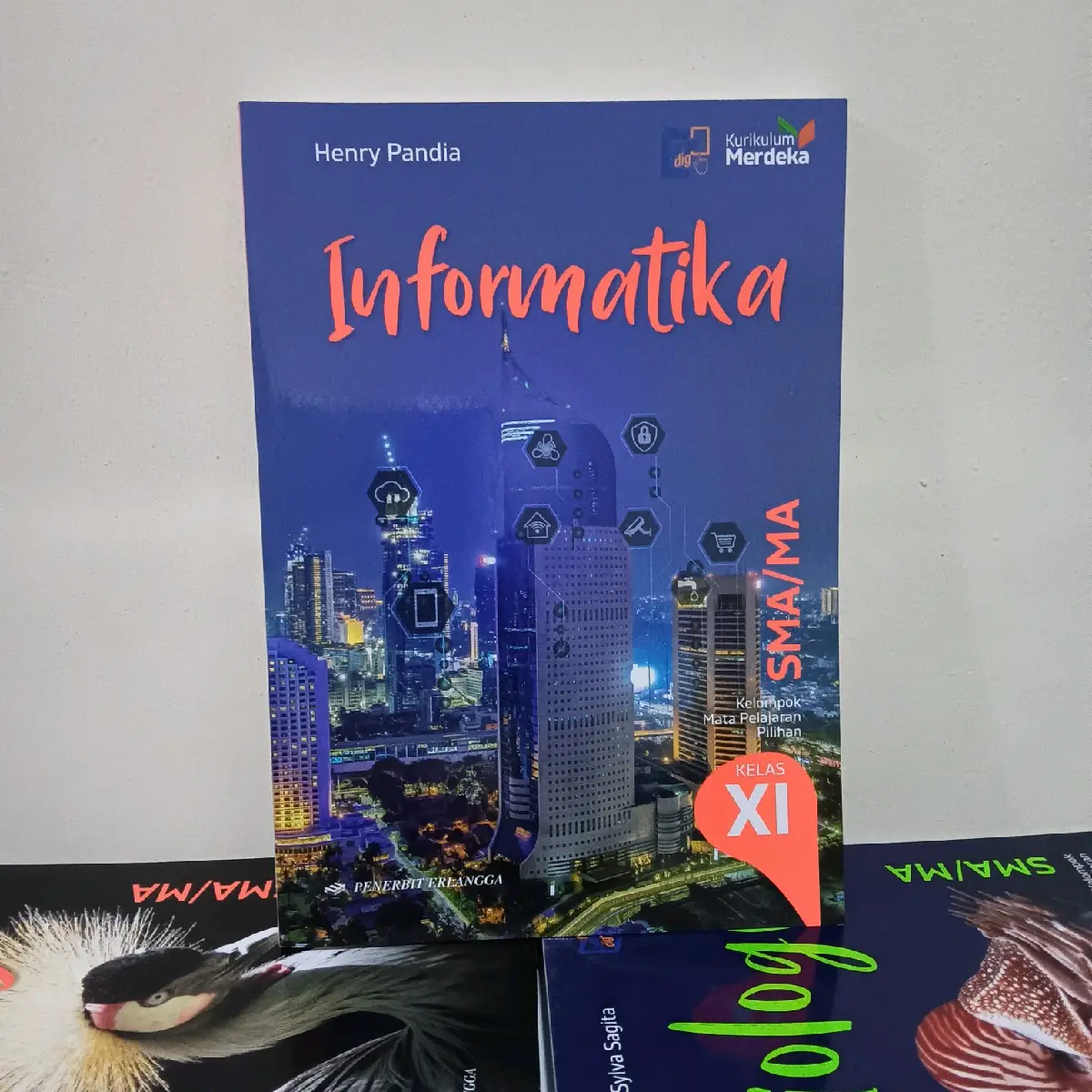 Buku Informatika kelas XI 11 untuk SMA/MA kurikukum Merdeka