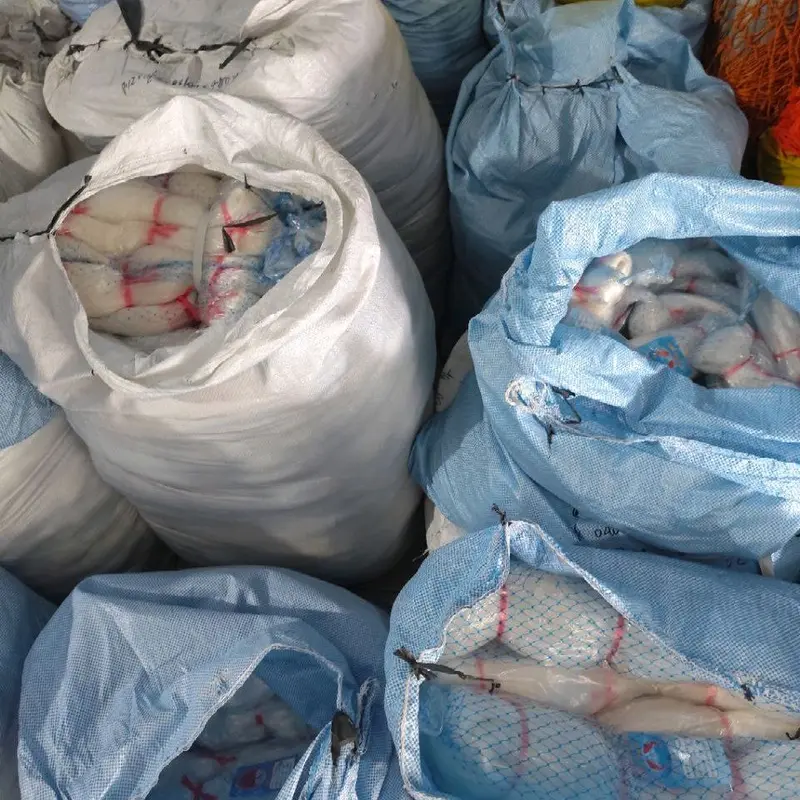 JARING IKAN / JARING SENAR 028 70X80 YOKO (UKURAN LENGKAP TINGGAL PILIH) 6