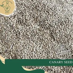 Canary Seed  [Pangan Burung] / Biji Kenari Kualitas Import / Pangan Love Bird