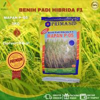 Gambar Benih Padi Hibrida F-1 Mapan P-05 PRIMASID 1kg dari PUROTANI.ID Kab. Purworejo 1 Tokopedia