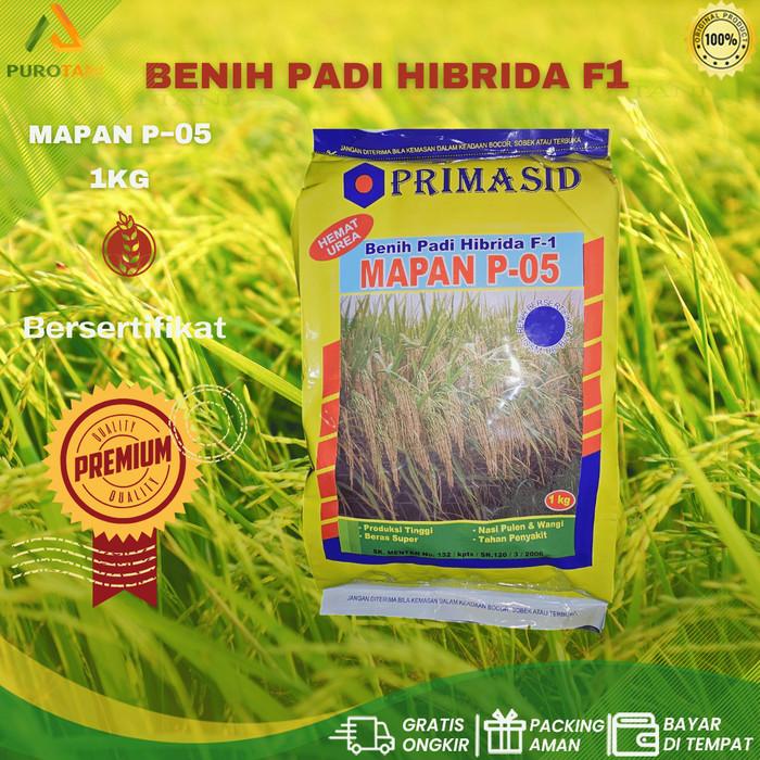 Gambar Benih Padi Hibrida F-1 Mapan P-05 PRIMASID 1kg dari PUROTANI.ID Kab. Purworejo Tokopedia