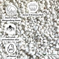 Gambar Perlite Eropa 3-7mm (5 Liter) Media Tanam Organik Porous Tanaman Hias dari workplant official Kota Surabaya 3 Tokopedia