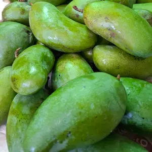 Mangga babby kiojay 1kg fresh baru petik - kriuk asam