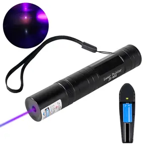 Laser Pointer Pen Presentasi Purple Beam 5mW 405nm
