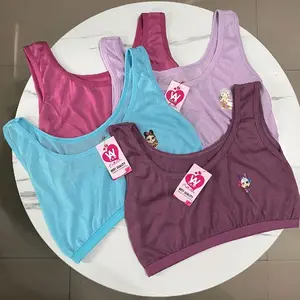 PAKET 12 Pcs MINISET ANAK PEREMPUAN/BRA ANAK PEREMPUAN ABG/DALAMAN ATASAN ANAK PEREMPUAN ABG