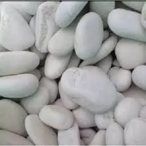 Batu koral / batu krikil putih / Batu taman dan aquarium 1kg