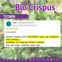 Gambar BIO CRISPUS PENGENDALI DAUN KRITING & GEMINI PADA DAUN dari kampungputraagro Kota Salatiga 4 Tokopedia