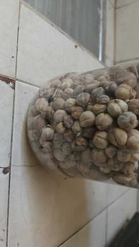 Product Review of kapulaga kering 250 gr Food from p**2 0