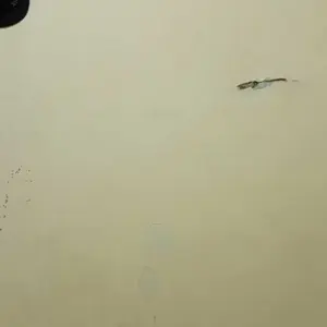 Sendok Garpu Set Sanrio - Kotak Hadiah Dengan Tas Lucu, Cocok untuk Anak-Anak & Orang Dewasa Kitchenware