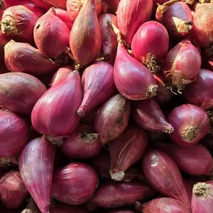 Bawang Merah Brebes  kering dan bersih  ukuran sedang campur kecil