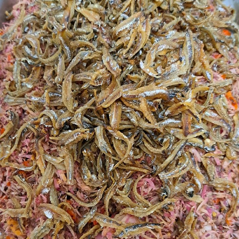 SAMBAL TERI KECOMBRANG IRIS KINCUNG/HONJE 2
