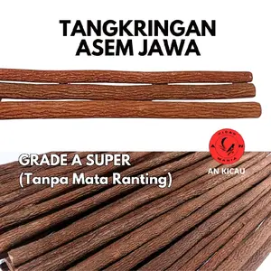 TANGKRINGAN ASEM JAWA GRADE A SUPER PREMIUM (1Batang)