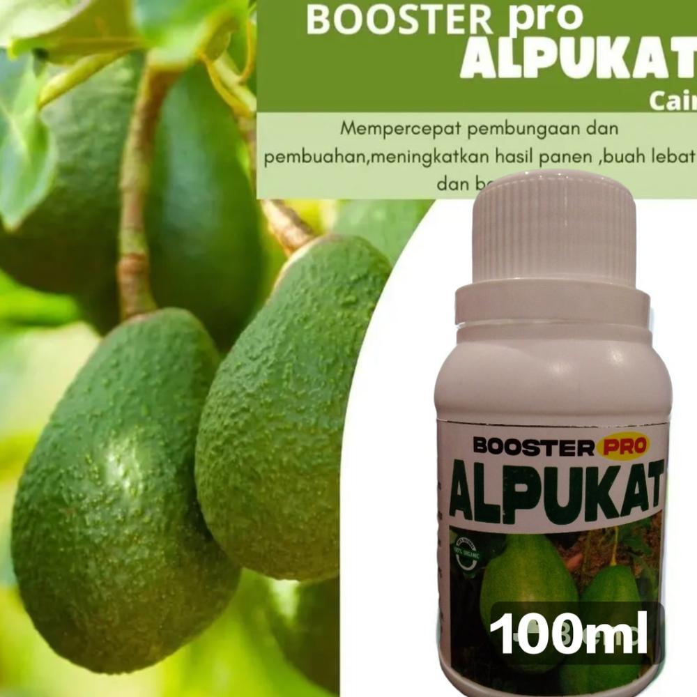 BOOSTER PRO Alpukat Pemacu Perangsang Pelebat Buah