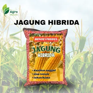 Agro Mulya 1kg Benih Jagung Hibrida Super Unggul Kualitas Unggul Siap Tanam Tahan Hama