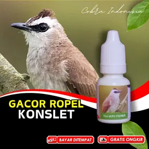 Vitamin Burung Trucukan
