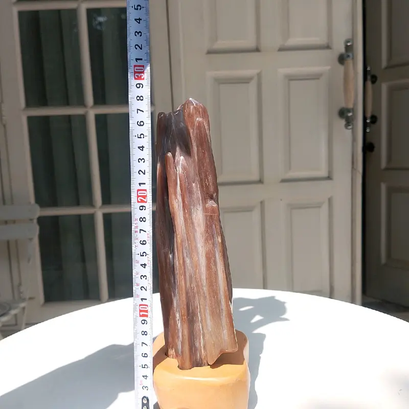 Batu Fosil Kayu Petrified Wood Agate Grade High Quality Pola Coklat 4