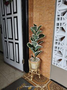 Product Review of TANAMAN ARTIFICIAL KETAPANG  PUTIH 23DAUN(sudah+pot) from @**6 0