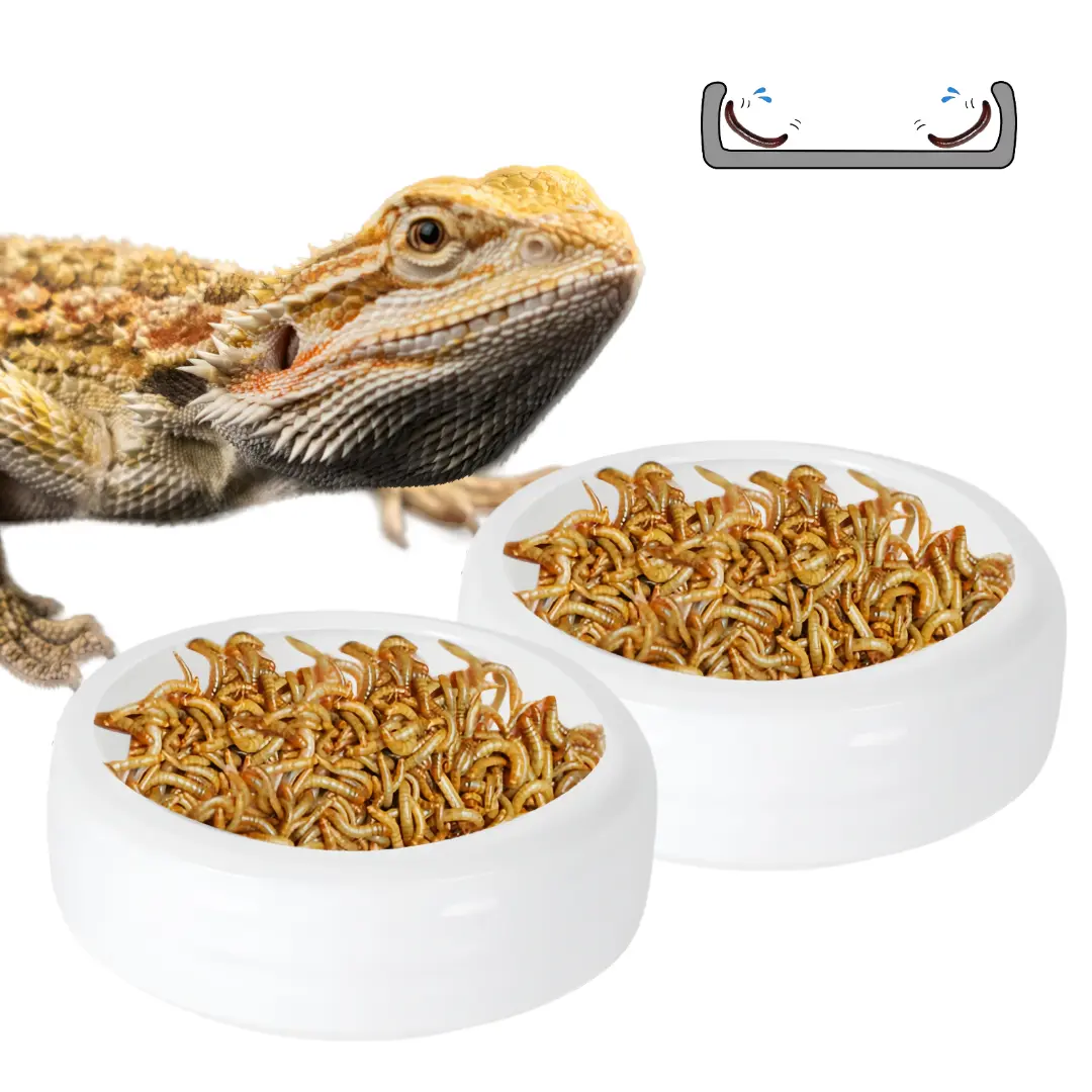YuTaLife 2 Pack Reptile Pet Feeding Bowl, Lizard Gecko Ceramic Pet Bowl, Leopard Bearded Dragon Chameleon Hermit Crab Dubia Cricket Anti-Escape Worm Feeder Mealworm Bowl