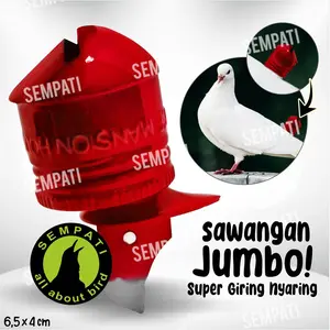 Sempati Sawangan Jumbo Mansion Sawangan Merpati Hatong Hotang Pluit Peluit Sempritan Latih Burung Merpati Balap Dara Pos Bunyi Nyaring Gacor