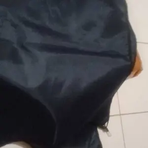 Hammock Ayunan Kucing Tidur Gantung gatsh