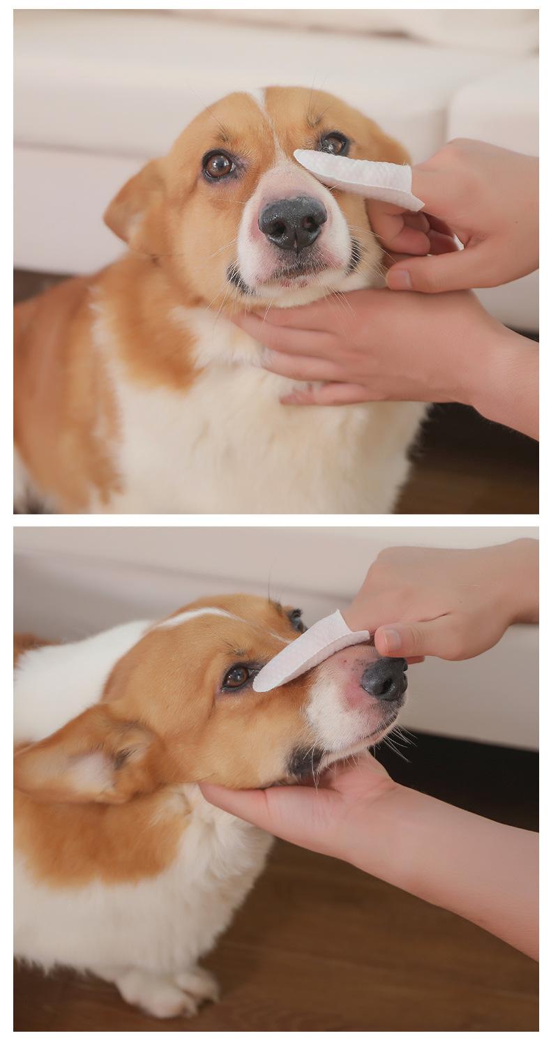 Product Introduction of Pet tooth cleaning finger wipes 4