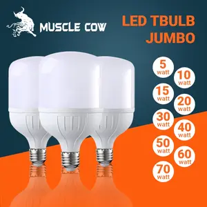 Lampu LED T Bulb Jumbo 10W/15W/20W/30W/40W/50W/60W/70W